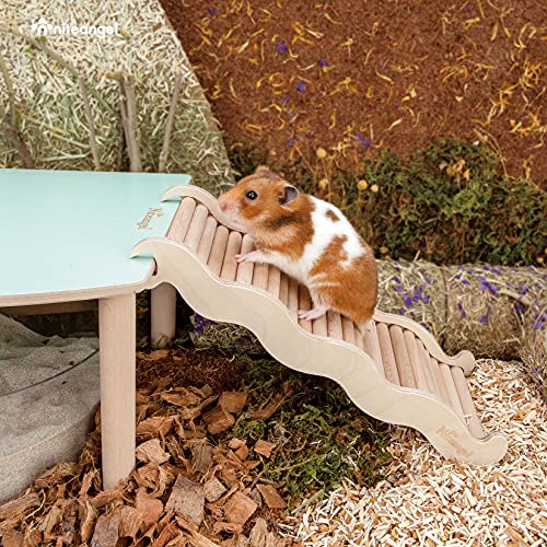 Niteangel Hamster Climbing Ladder Bridge: 10.35 x 3.7 x 1.1 Inch - size: Large - 10.35'' L