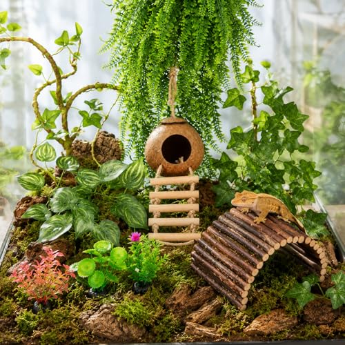 RUNANIA Crested Gecko Tank Accessories，Reptile Vines Plants with Coconut Shell Ladder Hideout Hermit Crab Decor for Leopard Gecko Lizard Chameleon Tortoise Snake Terrarium Decor