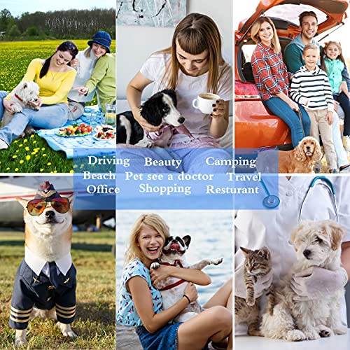 Cat Dog Carrier - Airline Approved Expandable Soft-Sided Pet Carrier with Removable Fleece Pad and Pockets, for Cats/Puppy and Small Animals Large(2 side expandable) | 2 Side Expandable, Removable Fleece Pad, Pockets, For Cats/Puppy Small Animals - size: