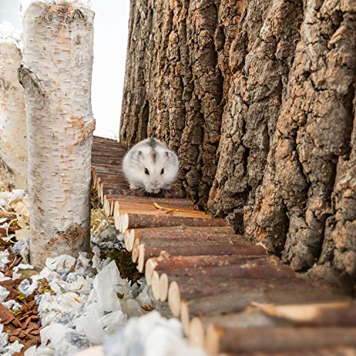 Niteangel Hamster Suspension Bridge Toy: 25.6" x 2.8" Flexible & Bendable | Enhances Coordination & Balance Long Climbing Wooden Ladder for Hamsters Mice Gerbils Sugar Glider Rat and Other Small Animal - size: 25.6L x 2.8W