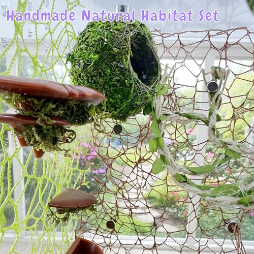 Jumping Spider Accessories - Moss Hideout with Hemp Rope Bridge | Magnetic decor set for jumping spider enclosures. Premium moss hideout & hemp rope bridge expand climbing space.