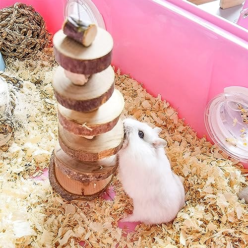 Small Animal Chews Toy Apple Wood Block Cage Hanging Molars Treats Snack | for Hamsters Rabbits Bunny Bird Parrots Chinchilla Guinea Pig Gerbils Squirrels, 2 Pack