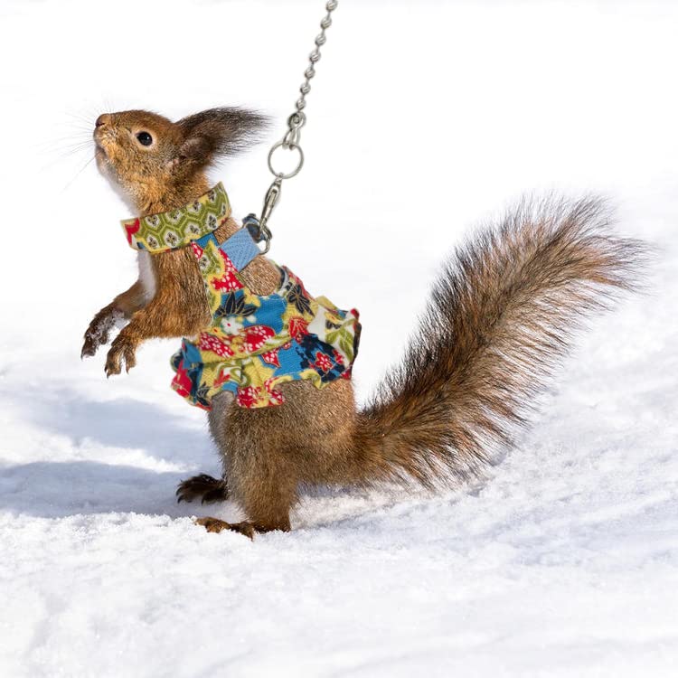 Squirrel Harness and Leash Set, Adjustable Flora Blue Printing, for Ferret, Squirrel, Dwarf Chinchilla, Guinea Pig, Fancy Rat - size: Large