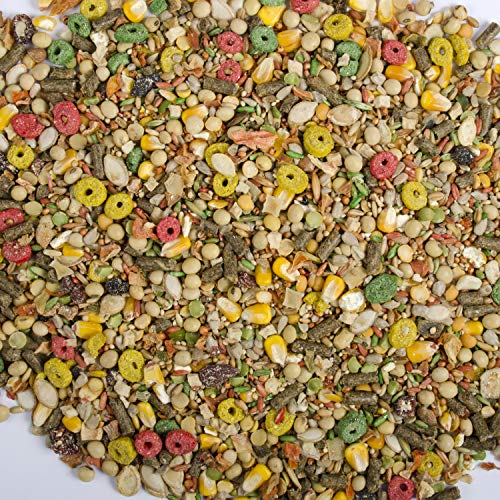 Wild Harvest Hamster And Gerbil Advanced Nutrition Diet, 4-Pound, Multicolor, One Size (E1950W), 4 pounds - size: 4 Pound (Pack of 1)