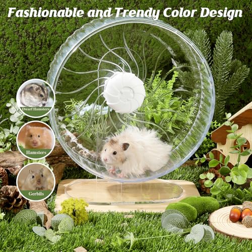 Silent Hamster Wheel, 10.2 Inch, Adjustable Stand, Clear | Clear acrylic wheel with anti-slip track, smooth bearings, and easy-clean design for Syrian hamsters and small pets. - size: 10.2"