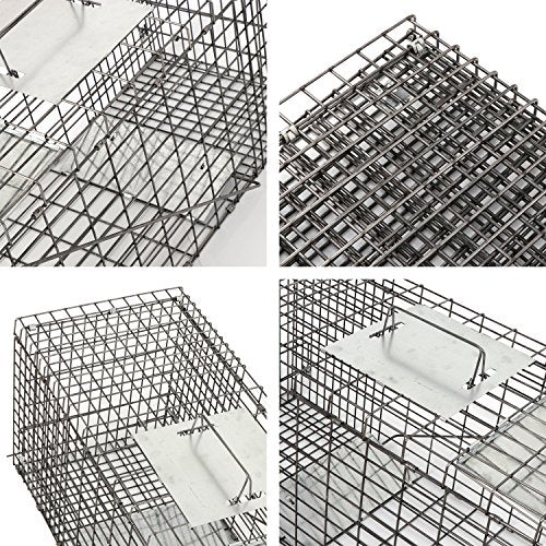 32 Inch Live Animal Cage Trap, One-Door Collapsible Catch and Release Humane Rodent Cage for Rabbits, Raccoon, Stray Cat, Squirrel, Mole, Gopher, Opossum, Skunk, Groundhog, Armadillos - style: 32" X 12" X 12.5" w/Iron Door