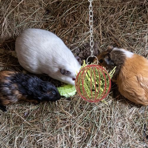 2-Pack Rabbit Feeder Balls Hanging Hay Feeder Ball for Bunny Cage Small Pet Grass Ball Holder Reusable Pet Cage for Feeding and Play