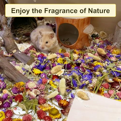 200G Hamster Bedding，Natural Flowers & Herbs Odor Control Dwarf Hamster Bedding Gerbil Bedding Robo Hamster Bedding Katy Hamster Bedding Hamster Habitat Decor Hamster Forage