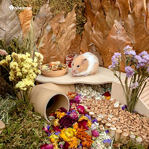 Niteangel Hamster Play Wooden Platform: Triangle - 9" L x 9" W - 6.3" H | Can Maximizes Cage Space & Enriches Pet environment for Dwarf Syrian Hamsters Gerbils Mice Degus or Other Small Pets - color: Burlywood, size: Triangle - 9'' L x 9'' W - 5.9'' Heigh