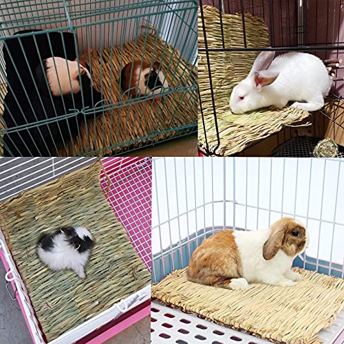 Tfwadmx 6 Pcs Rabbit Grass Mats 16''x11''Large Natural Woven Seagrass Mat Bunny Sleep Bed for Chinchillas Guinea Pigs Ferret Hamster Squirrel and Small Animals - size: 16.0''x11''(6pcs)