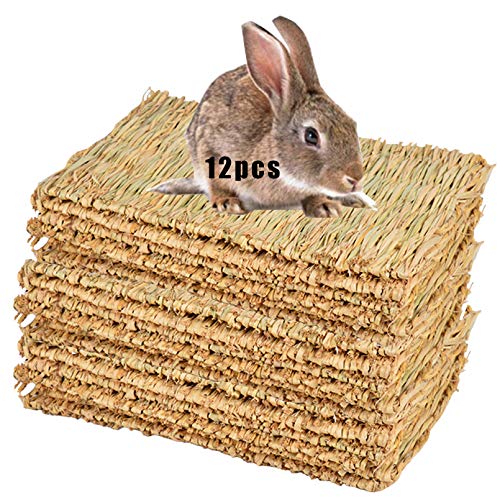 Hamiledyi Grass Mat for Rabbit Bunny Chew Toys Woven Bed Mat for Guinea Pig Chinchilla Squirrel Hamster Cat Dog and Small Animal (12PCS Grass mat)