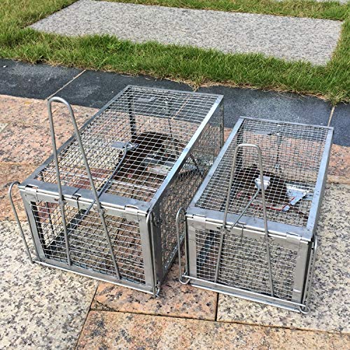 Kensizer 2-Pack Animal Humane Live Cage Trap, Medium 12" L x 6.5" W x 5" H | For Rat Mouse Chipmunk Mice Voles Hamsters, Other Small Rodents, Trampa para Ratones, Catch and Release - size: Medium (Set of 2)