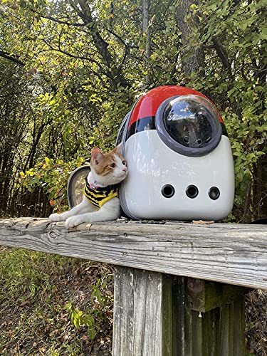 Back Expandable Cat Backpack Carrier, Fit up to 12 lbs, Hard Shell Bubble Dome Window Pet Transport and Carry Bag for Kitten Cat Bunny Rabbit and Small Puppy - color: Multi Color