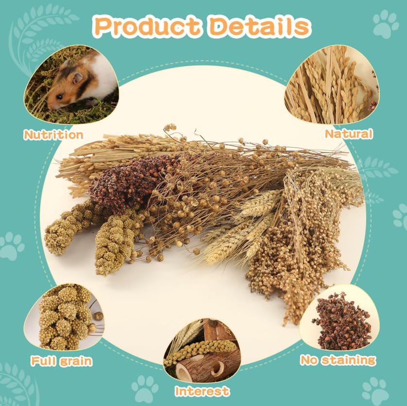 Hamster Spray Set - Natural Snack Grains & Chew Toys for Cage Decoration Accessories, Soft Bedding for Dwarf Syrian Hamsters, Gerbils, Mice & Small Pets - size: 6 Kinds of Grains