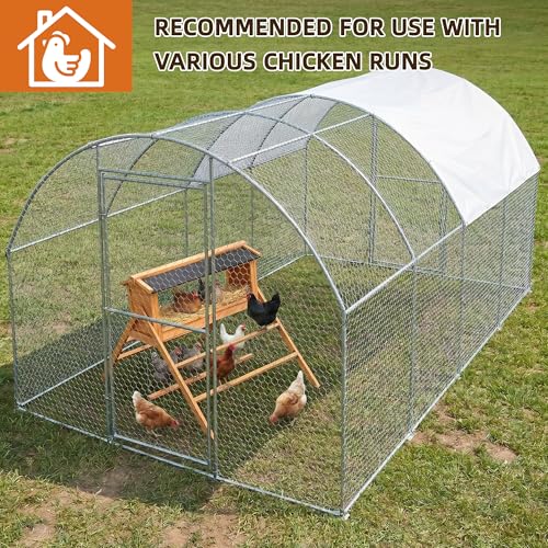 3-in-1 Chicken Coop Accessory with Nesting Boxes, Perch, and Swing | Designed for Use With Large Wooden or Metal Chicken Coops, Ideal for Backyard Chicken Farming and Poultry Farms
