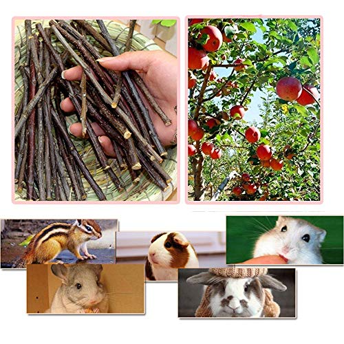 500g Apple Sticks Small Animals Molar Wood Toys for Rabbits Chinchillas Guinea Pig Hamster Gerbil Bunny and Small Animal Chew Stick Toys