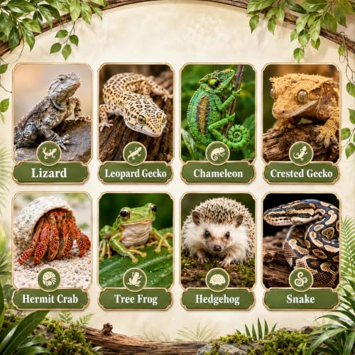 RUNANIA Crested Gecko Tank Accessories，Reptile Vines Plants with Coconut Shell Ladder Hideout Hermit Crab Decor for Leopard Gecko Lizard Chameleon Tortoise Snake Terrarium Decor