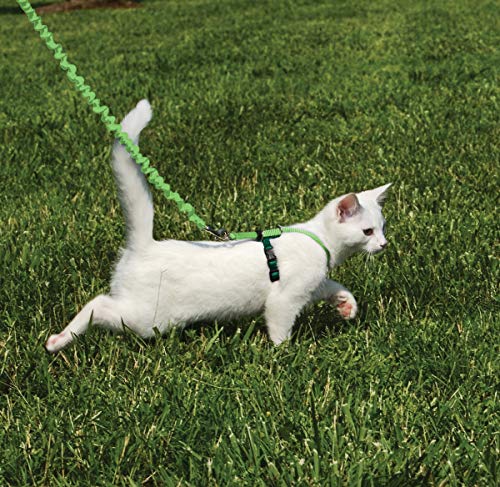 PetSafe Come with Me Kitty Harness and Bungee Leash, Small, Lime - color: Lime, size: Small (Pack of 1)