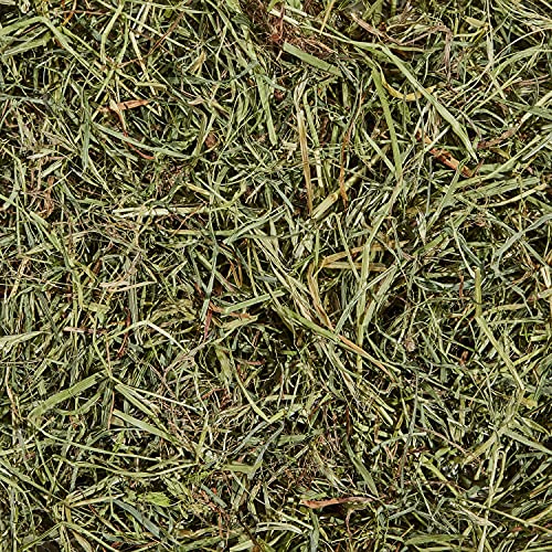 Kaytee Orchard Grass, 24-Ounce - size: 1.5 Pound (Pack of 1)