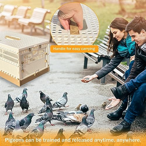 Folding Pigeon Cage Racing Pigeons Travel Cage Pairing Cage Plastic Three Doors Nest Box for Training and Release, Competition(L) - size: L