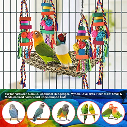 KATUMO Bird Toys, Bird Foraging Wall Toy Large Size Seagrass Woven Climbing Hammock Swing Mat with Colorful Chewing Toys for Lovebird, Parakeet, Budgie, Conure, Cockatiel, Small Birds | Hand-Woven Seagrass Toy with Chew Accessories, Supports Climbing, For