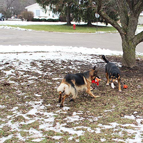 Jalousie Multipack Dog Squeaky Toys Strong Almost Indestructible, with Added Liner for Longer Play Dog Chew Toys (5 Pack Tough) - color: 5 Pack Tough