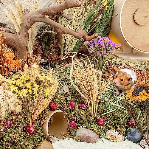 Natural Ear of Grain Flower&Herb Bedding Mate Habitat Decor, Adding Fun Hamster Accessories for Hamsters Gerbils Lemming - color: Flower Style