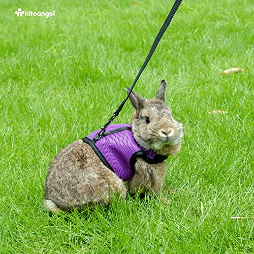 Niteangel Adjustable Soft Harness with Elastic Leash for Rabbits (M, Black) - color: Black, size: M