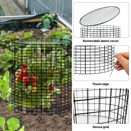 6 Sets of 24'' x 12'' Garden Plant Protectors from Animals with Detachable Covers, Metal Plant Cage Chicken Wire Cloche with Ground Stakes and Nylon Tie, Wire Plant Cage to Keeping Bunny Animals Out - size: 24x12Inch