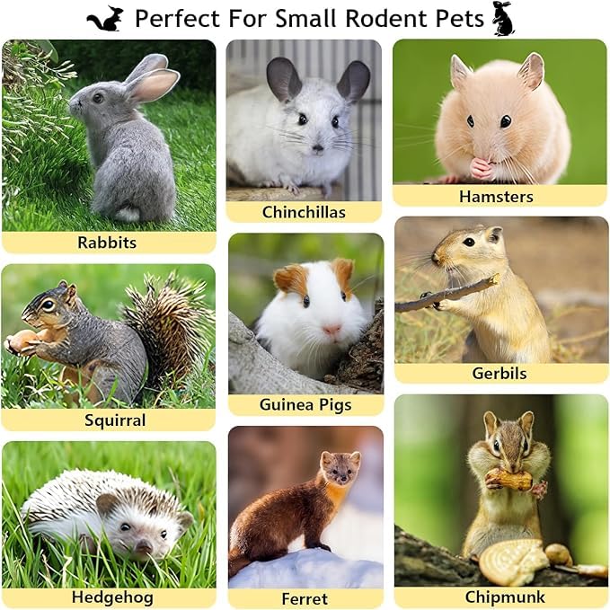 1000g Organic Apple Sticks Small Animals Molar Wood Treats Toys for Chinchillas Guinea Pig Rabbits Hamster Gerbil Parrot Bunny Chew Stick Toys, 35.3 OZ - size: 2.21 Pound (Pack of 1)