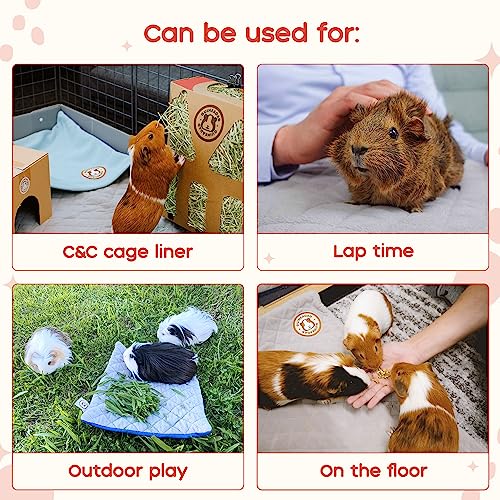 GuineaDad Original Reusable Cage Liner – Sea Green Fleece Bedding with Burrowing Pocket – Extra Absorbent Core & Waterproof Bottom – Fits C&C 2x3 Guinea Pig Cages – Small Animal Supplies