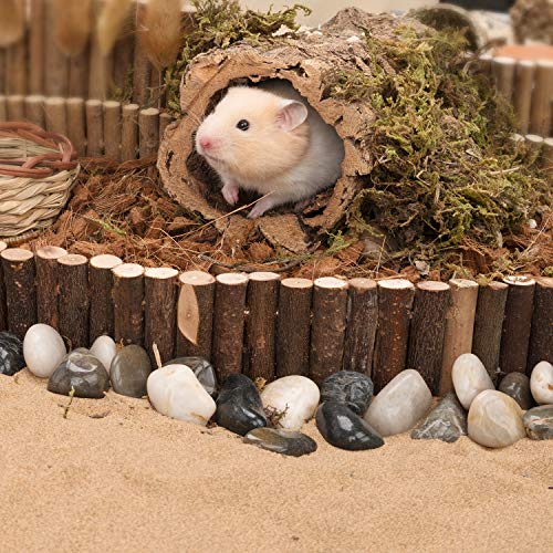 Niteangel Hamster Suspension Bridge Toy: 25.6" x 2.8" Flexible & Bendable | Enhances Coordination & Balance Long Climbing Wooden Ladder for Hamsters Mice Gerbils Sugar Glider Rat and Other Small Animal - size: 25.6L x 2.8W
