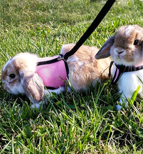 Bunny Harness and Leash Escape Proof Soft Mesh Rabbit Leash and Harness Set | Breathable Mesh Prevents Overheating, Dual Adjustable Tape Quick Buckle Anti-escape, For Rabbits Ferret and Small Animals - color: Hot Pink, size: M(Chest 7.1–9.8 in)Small Rabbi