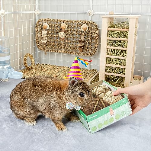 andwe Small Animals Play Balls Rolling Chew Toys & Gnawing Treats for Rabbits Guinea Pigs Chinchilla Bunny Degus - Pet Cage Entertainment Accessories (Pack of 4) - size: Pack of 4
