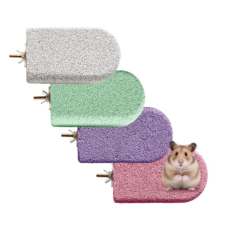 4PCS Lava Ledge for Chinchilla/Hamster/Parrot, Gray&Pink&Purple&Green(L) | For Small Pets, Grinding Claws & Jumping, Safe Natural Volcanic Rock, Reduces Random Chewing - color: Grey&Pink&Purple&Cyan, size: L