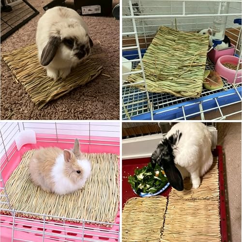 Tfwadmx 20 Pcs Bunny Grass Mat Rabbit Natural Straw Woven Bed Small Animal Cages Sleeping Hay Mats Nest Play Chew Toys for Guinea Pig Rabbit Chinchilla Squirrel Hamster - size: 20Pcs