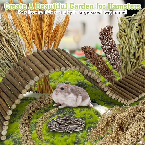 Tfwadmx Hamster Ladder Bridge & Small Animal Natural Ear of Grain Spray Hamster Bedding Habitat Decor Flexible Bendy Hamster Climbing Toy for Dwarf Syrian Mice Gerbils - size: 21.7 x 3.5 inches