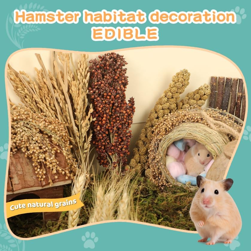Hamster Spray Set - Natural Snack Grains & Chew Toys for Cage Decoration Accessories, Soft Bedding for Dwarf Syrian Hamsters, Gerbils, Mice & Small Pets - size: 4 Kinds of Grains