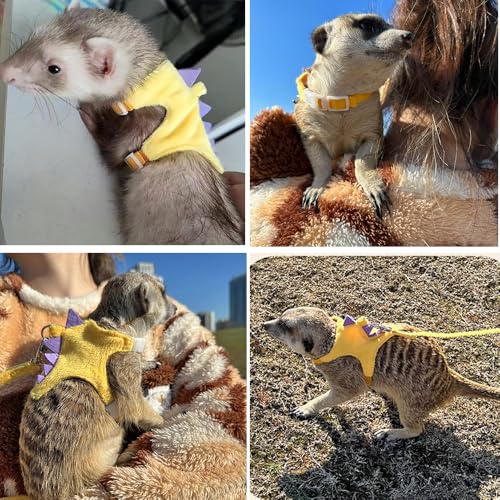 Ferret Harness and Leash Set Small Animals Vest Harness with Safe bell Dinosaur Shaped Walking clothes for Baby Rabbit Guinea pig Teacup Chihuahua Mouse and other small pet.(Yellow Dinosaur) - color: Yellow Dinosaur