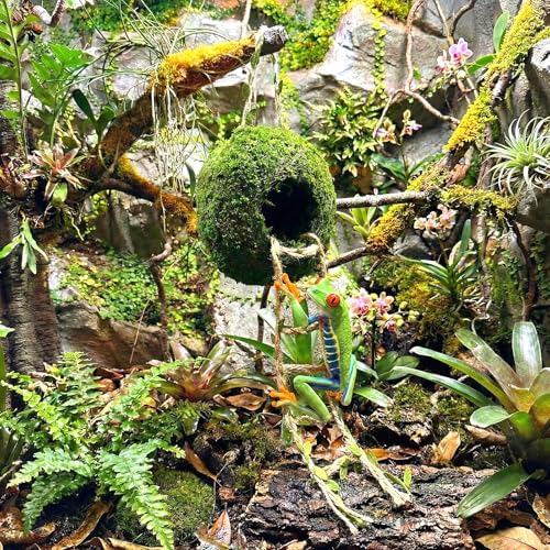 Moss Cave Hideout with Hanging Rope & Hemp Climbing Ladder – Natural Reptile Tank Decor Accessories for Crested Geckos, Chameleons, Tree Frogs, Leopard Geckos & Snakes. Terrarium & Vivarium Decor (4") - size: 4"