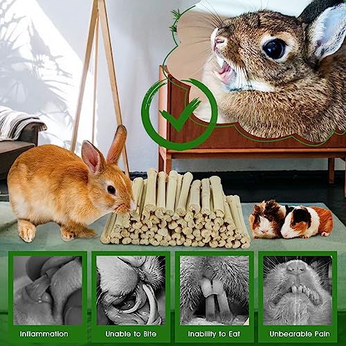 BWOGUE 1000g Bamboo Chews for Rabbits, Rabbit Chew Toys Sweet Bamboo Sticks | Pet Snacks, Rabbit Bamboo Chew Sticks, Bamboo Sticks for Rabbits, Bamboo for Rabbits, About 100 Sticks, 4.3 in, Sealed Bag - size: 2.2 Pound (Pack of 1)