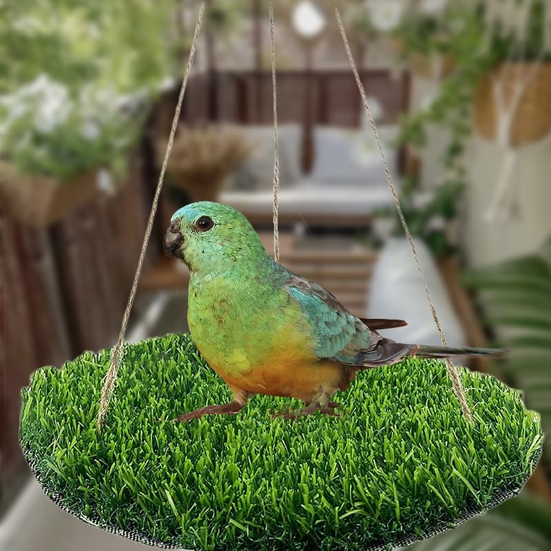 Reptile Hammock Swing Hanging Bed, PP Grass Pad，Portable Bird Swing Stand Reptile Natural Swing Hanging Bed for Bearded Dragon Leopard Gecko Lizard Birds Parrots（Round） - color: Round