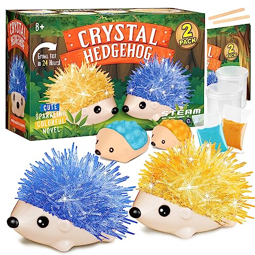 Crystal Growing Kit - 2 Vibrant Hedgehogs Fast 24H, STEM Gift for Kids 6-12 | Grow 2 crystal hedgehogs in 24H. STEM science kit, educational DIY toy. Great birthday gift for boys & girls ages 7-10+ - color: 2 Hedgehog Crystal
