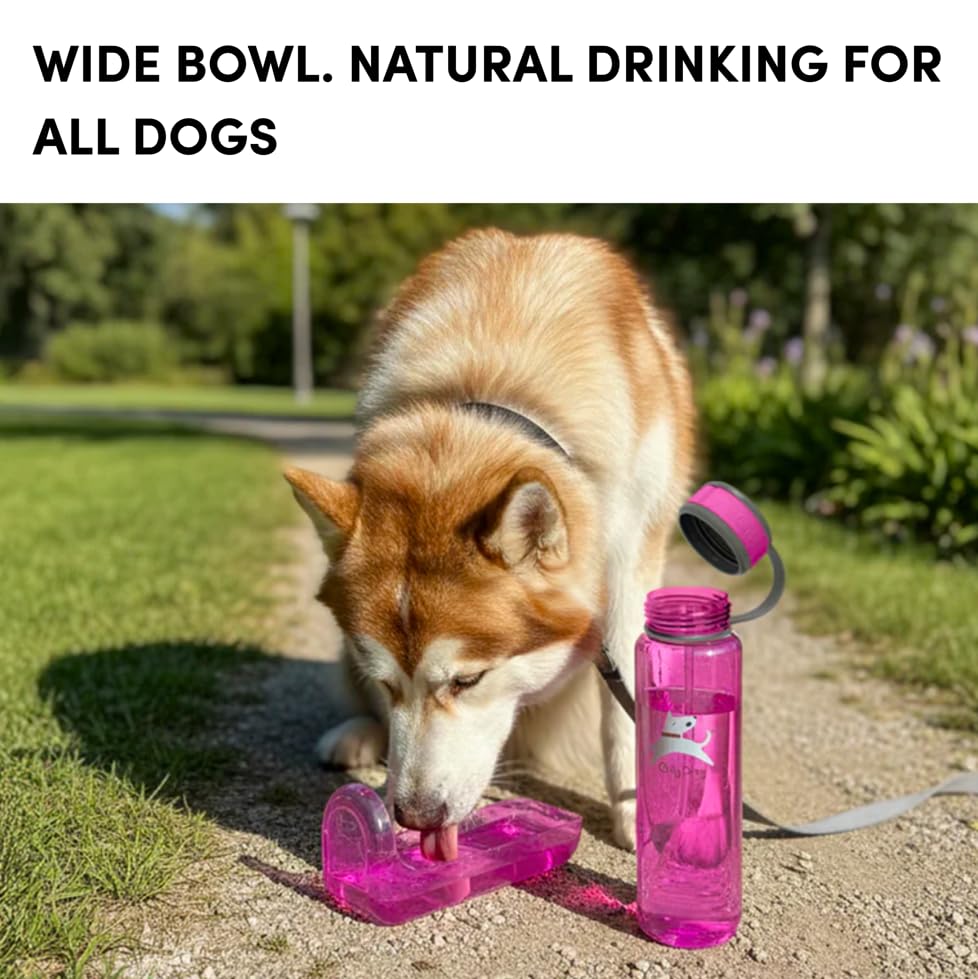 OllyDog OllyBottle Tritan Water Bottle with Detachable Dog Bowl | BPA Free Leakproof | 34oz | Share Water with Your Dog | Hiking Travel Camping (1L, Hot Pink) - color: Hot Pink, size: 1L
