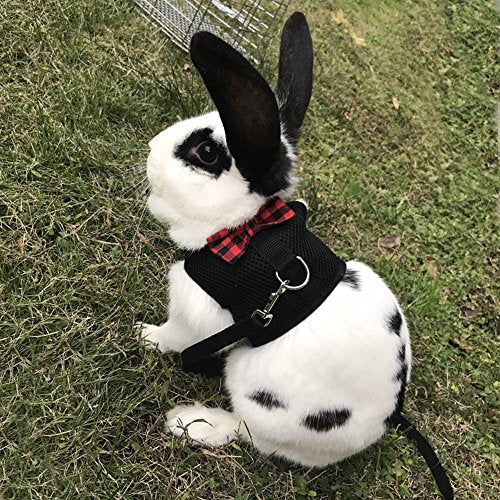 Bunny Kitten Harness No Pull Cat Leash Stylish Vest Harness for Small Animal Adjustable Soft Breathable Walking Harness Set (Black, L) - color: Black, size: L