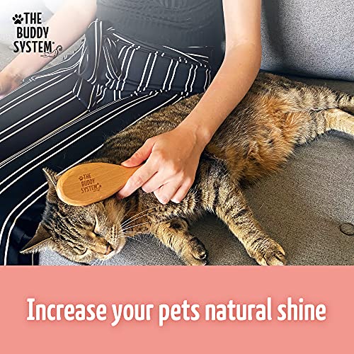 The Buddy System - Soft Cat Brush with Boar Bristles, 1 Pack | Cat brush with wooden handle, daily grooming pet brush, reduce shedding and gives coat a healthy shine - boar bristles