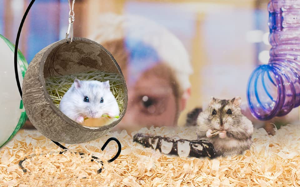 Ranslen Natural Coconut Hamster Hideout Hammock with Molar Toy Suspension Coconut Husk Hamster Bed House with Warm Pad Small Animal Guinea Pigs Habitat Decor Accessories Hanging Loop (Brown)