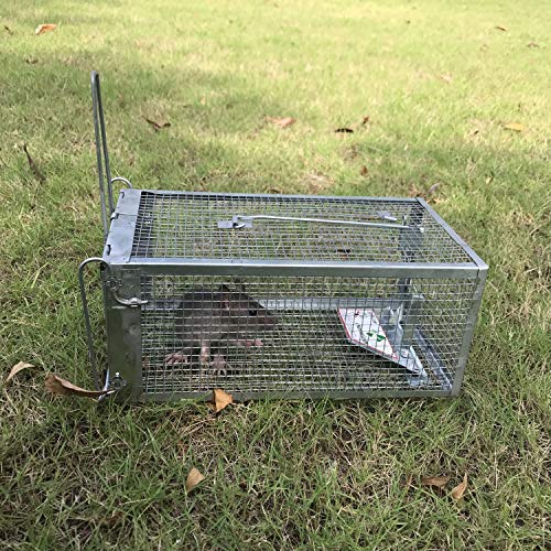 Kensizer 2-Pack Animal Humane Live Cage Trap, Medium 12" L x 6.5" W x 5" H | For Rat Mouse Chipmunk Mice Voles Hamsters, Other Small Rodents, Trampa para Ratones, Catch and Release - size: Medium (Set of 2)