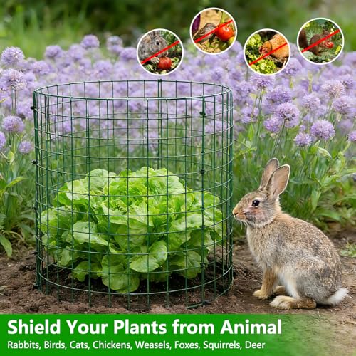 10 Pack 12x14 Inch Plant Cages, Metal Garden Protector from Animals | Garden Cloche, Plant Guard Barrier, Stakes & Zip Ties, Rabbit Squirrel Protection, Seedlings, Herbs, Vegetable Garden Beds - color: 10 Pack, size: 12x14 IN