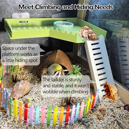Hermit Crab Platform with Ladder Climbing Toys Hermit Crab Climbing Wall Shelf Habitat Reptile Tank Decor Terrarium Accessories for Leopard Gecko Frogs - Plastic Material - color: Green